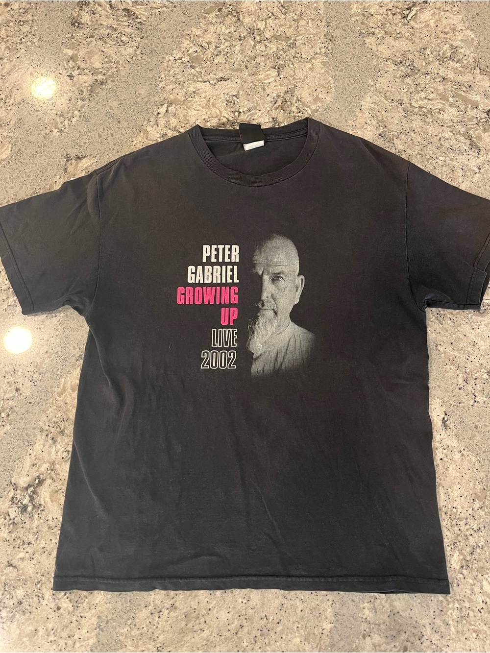 2002 Peter Gabriel Growing Up Live Black Concert Tee